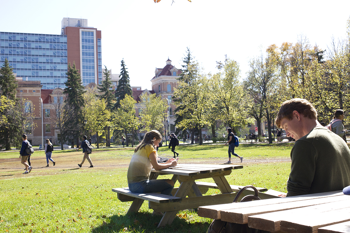 Students seated and studying at picnic tables outdoors