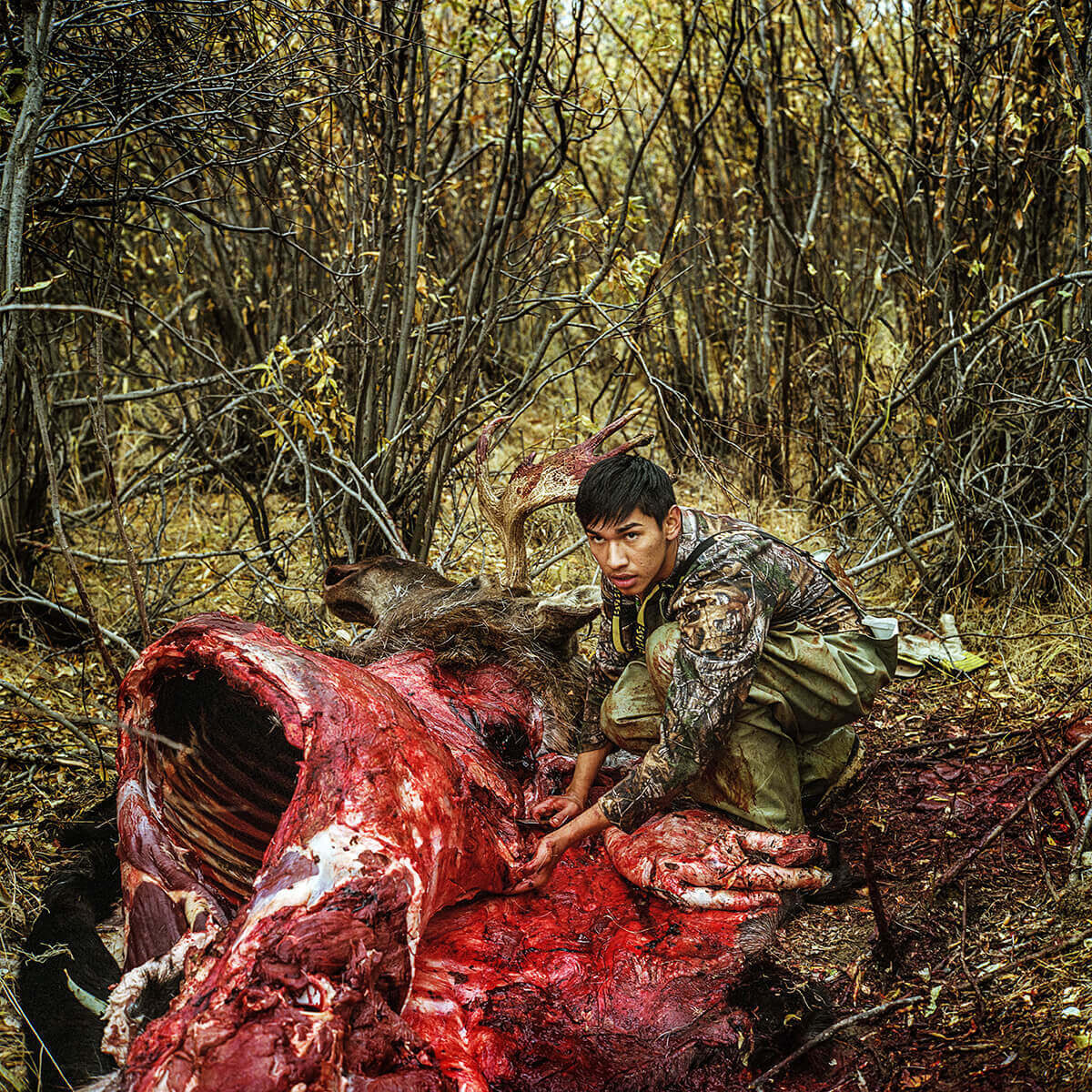 A young Indigenous man cuts apart the carcass of an animal he has hunted.