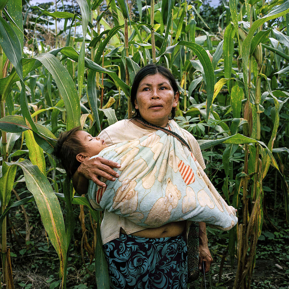 A photo of a woman clutching a child in a sling, standing in a field of corn.