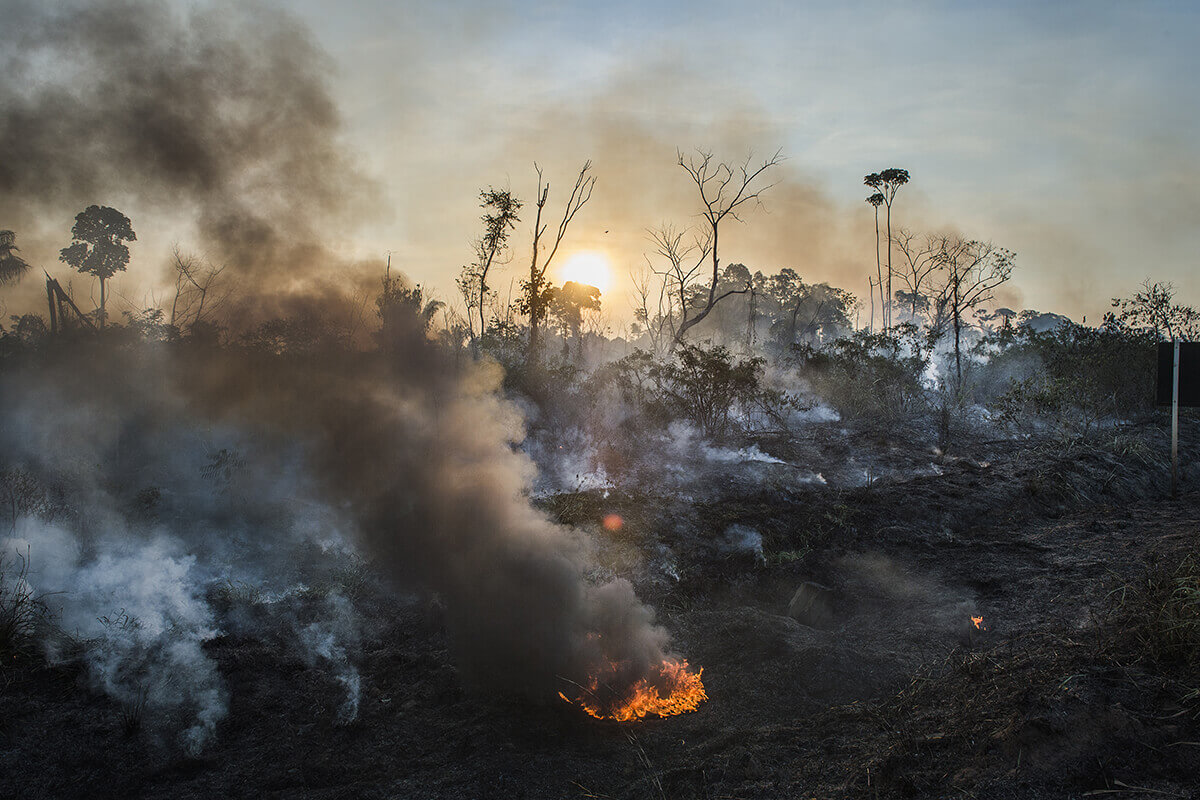 A photo of a burning jungle.