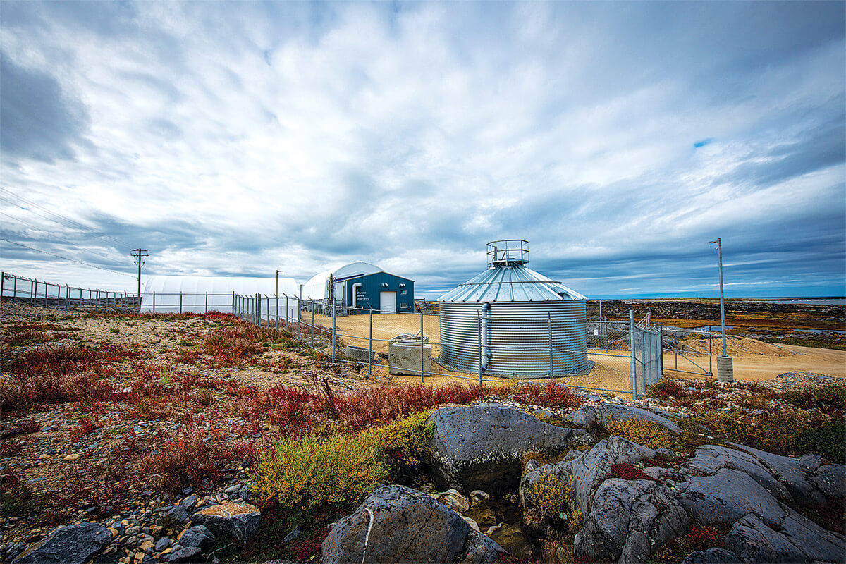 northern landscape in May with colourful foliage, set on a coast. A blue building in the background beneath a breathtaking cloudy skyline.