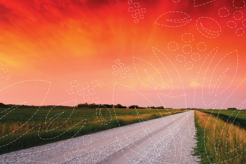 A sunset over a dirt road with swirling floral white embroidery superimposed on it.