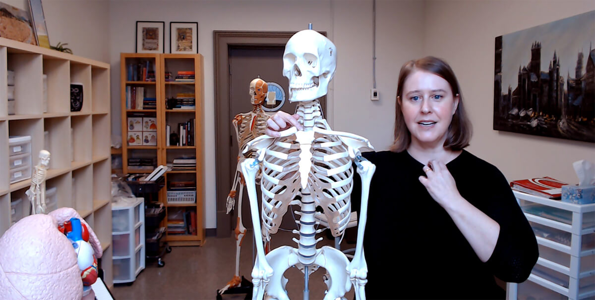 Teaching singing with the help of an anatomical model.