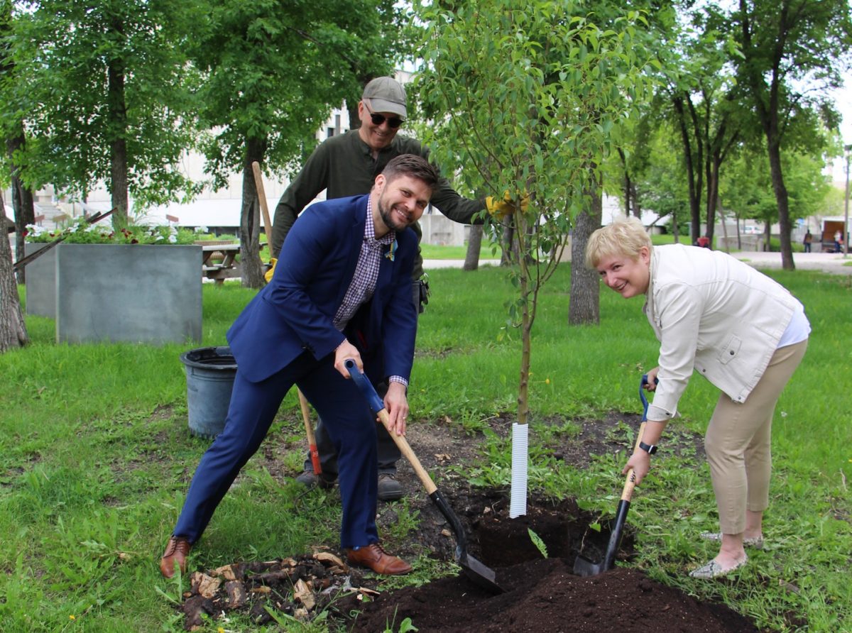 People planting a tree at UM Fort Garry campus.