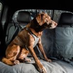 Optimus Gear is designed to protect pets riding in vehicles
