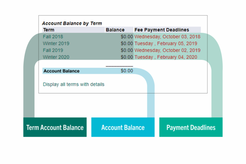 A graphic breaking down the Account Summary Menu.