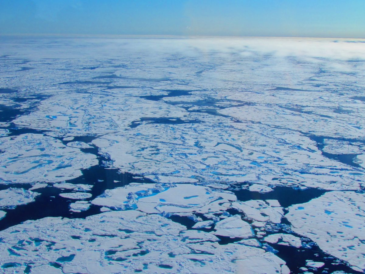 Summer sea ice in Arctic