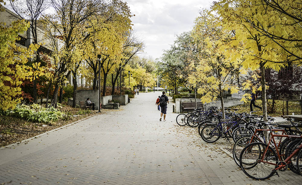 Fall colours on display along Currie Place.