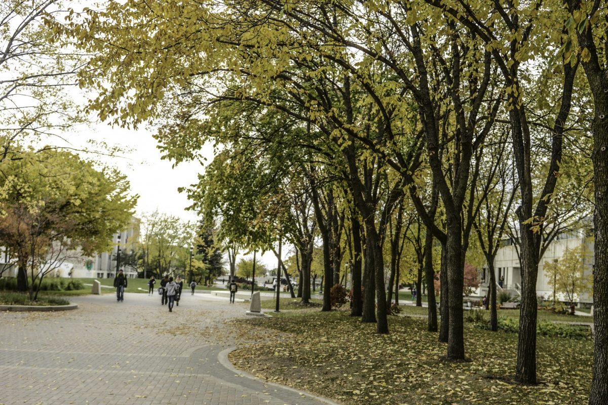 A photograph of the UM campus in fall.