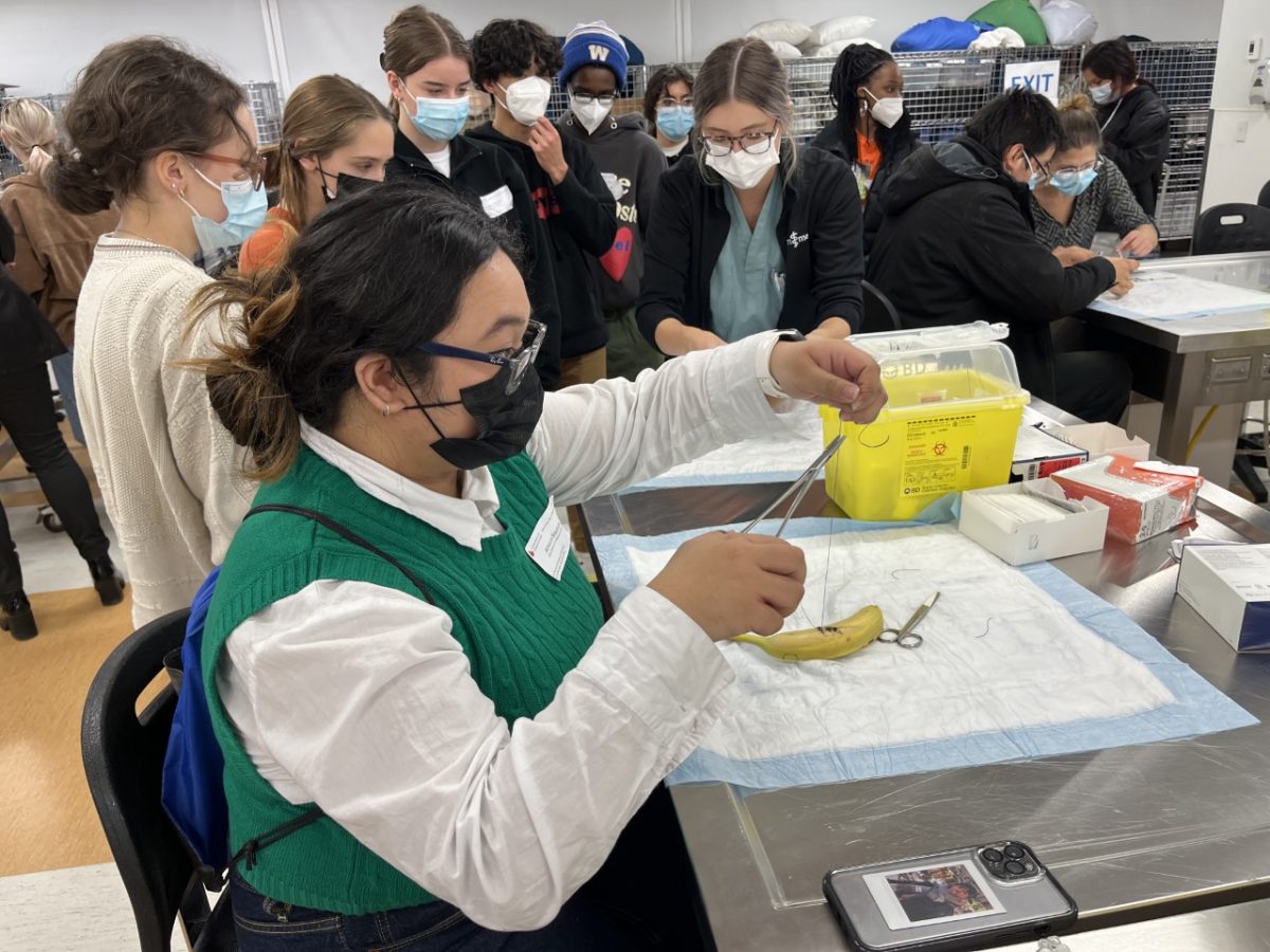 Atheicia Bautista, grade 11 students, practices suturing in the skills lab