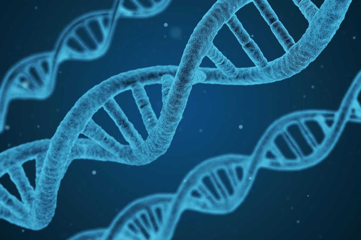 Blue strands of DNA