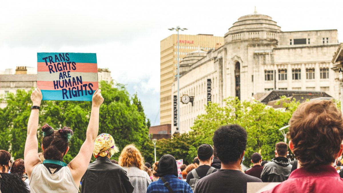 person holding sign that says "Trans Rights are Human Rights