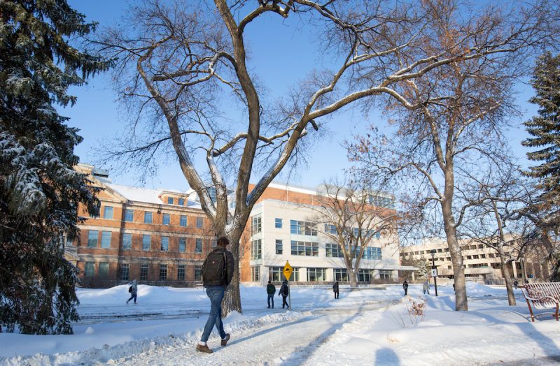 UM Today Your Source For University Of Manitoba News   2020 Winter Exteriors 027 800x524 