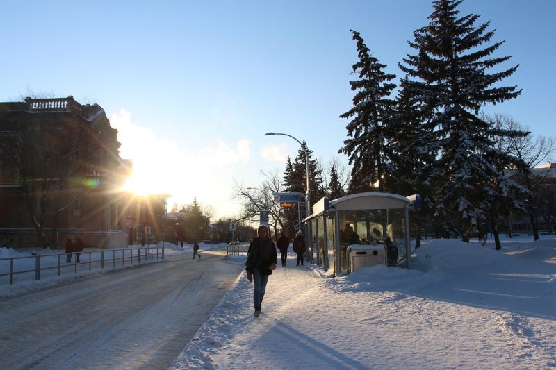 Pedestrian walks eastbound on Dafoe Road in winter, with bus stop in the background.