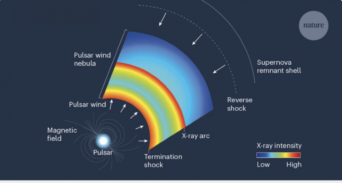 Figure 1 | The structure of a pulsar wind nebula in a supernova remnant.