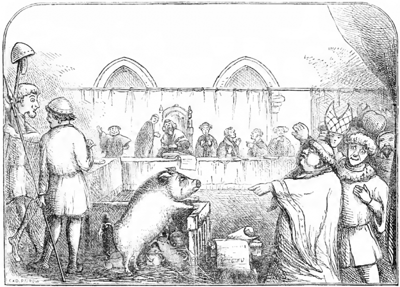 A sketch of a pig on trial