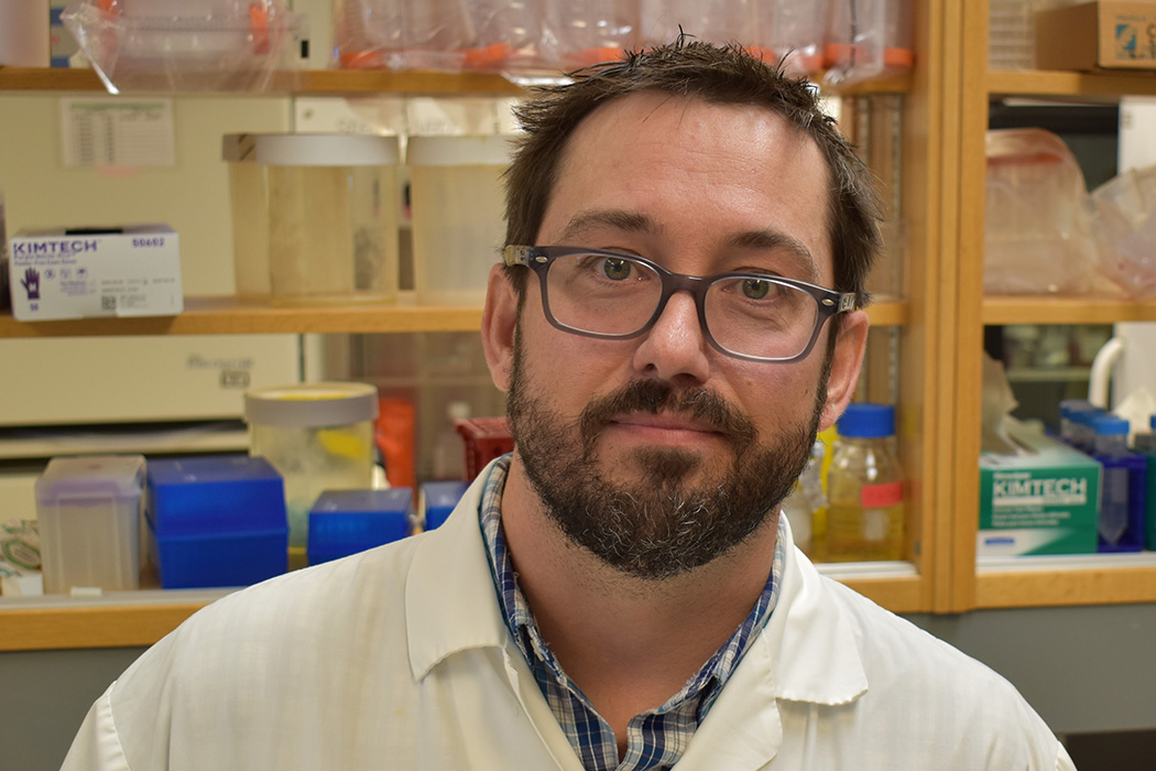 Portrait of Dr. David Safronetz in his lab.