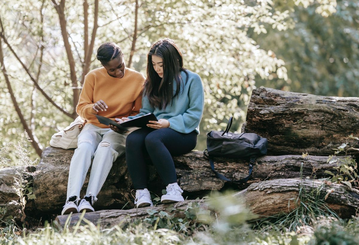 Two students sitting on a fallen tree in the forest doing school work