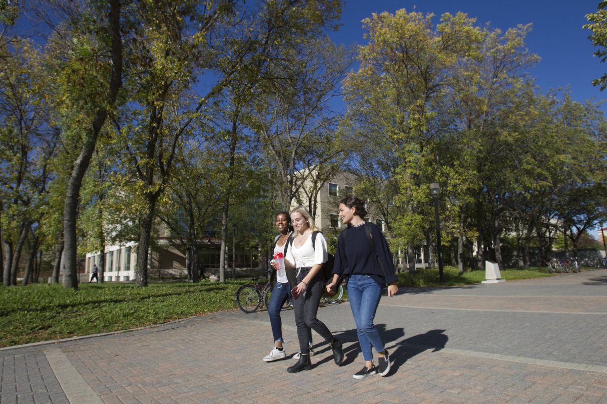 3 students walk across campus in the sunshine.