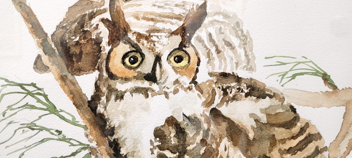 painting of an owl sitting on a branch