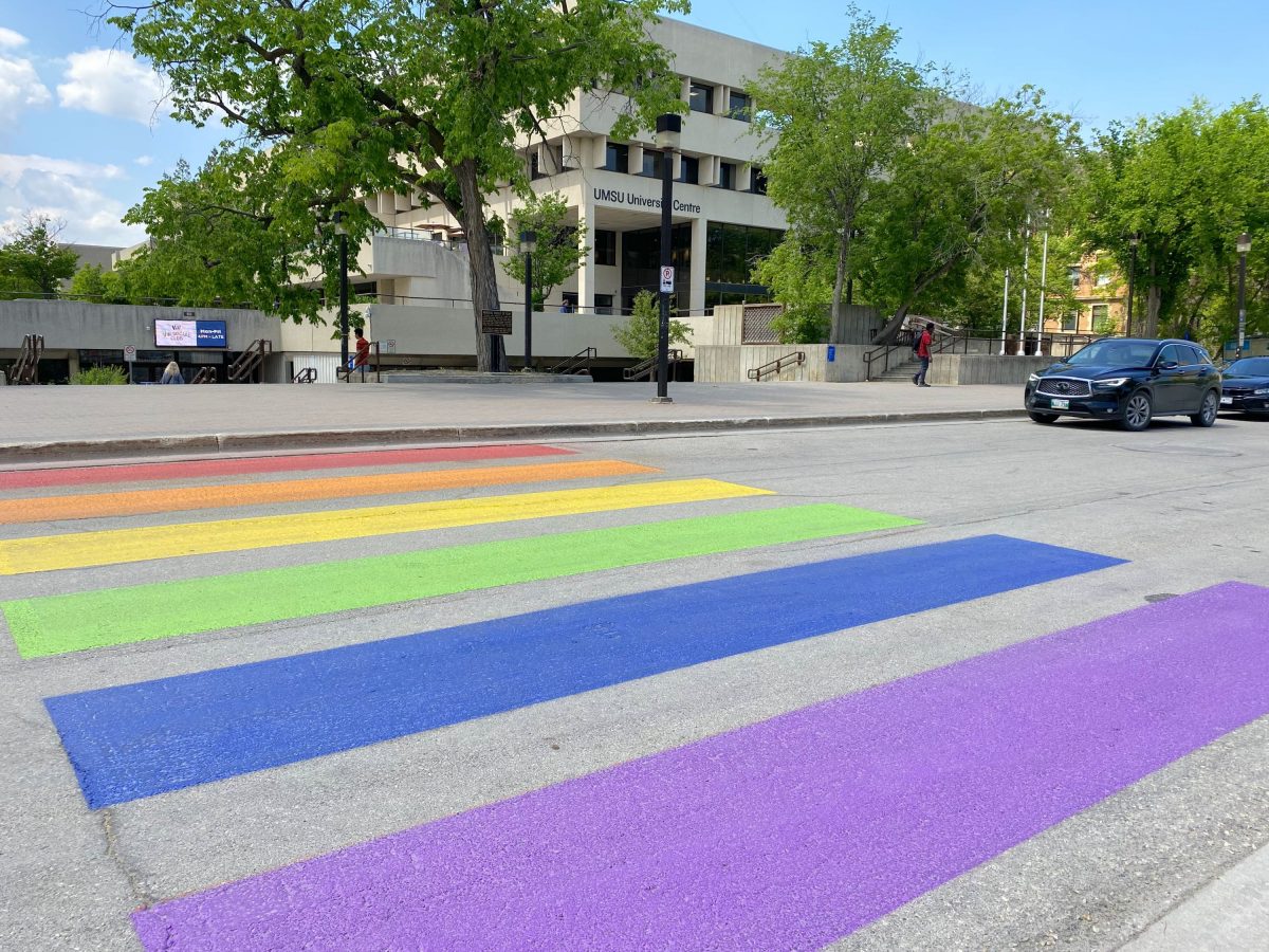 Crosswalk with purple, blue, green, yellow, orang and red stripes with green trees in the background.