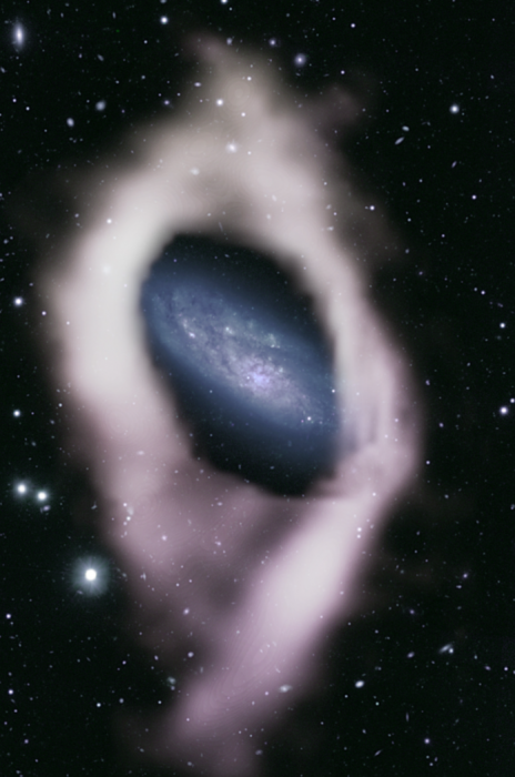 Polar ring galaxies are a type of galaxy that exhibits a ring of stars and gas perpendicular to its main spiral disk.