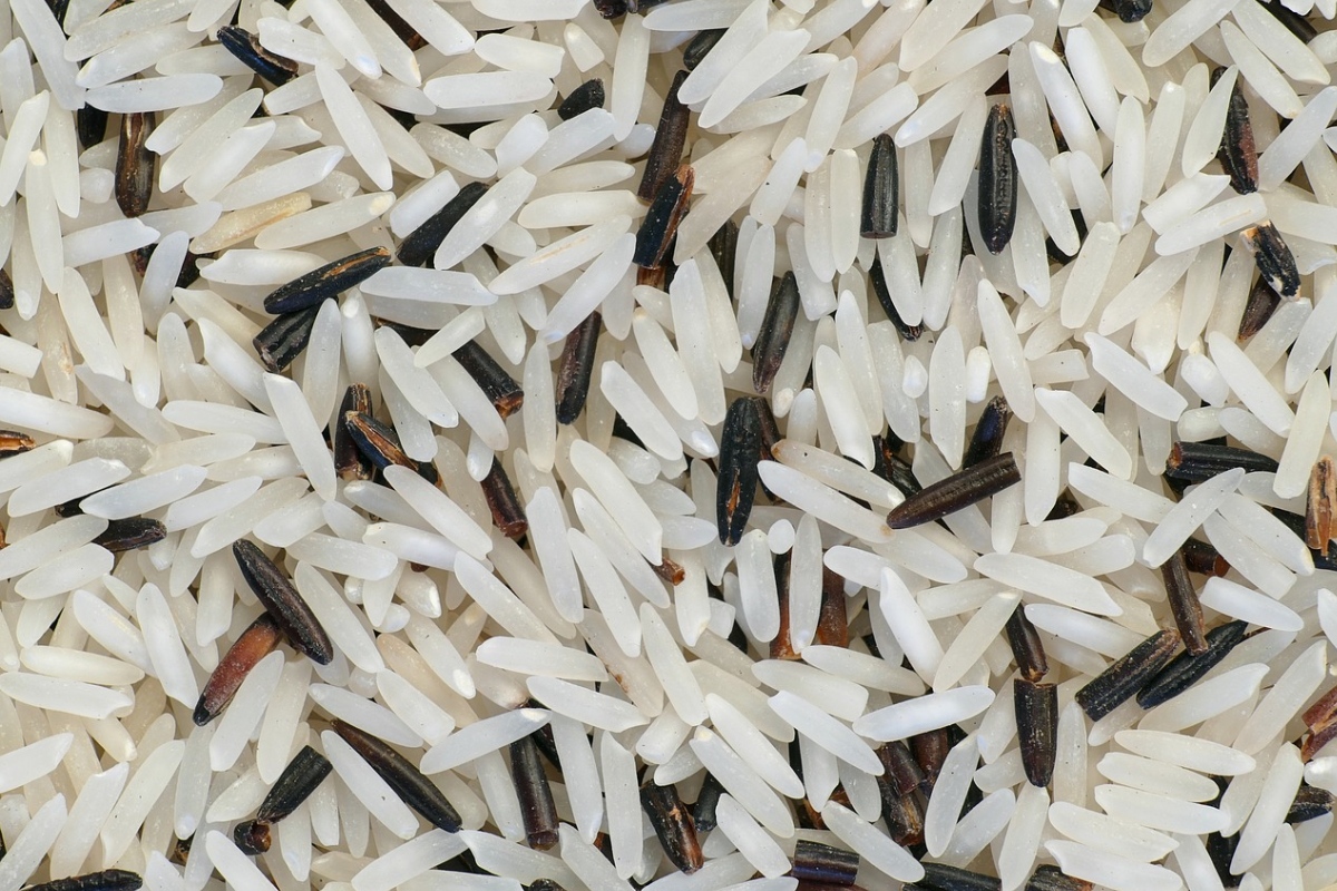 image of wild rice