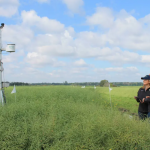 EMILI’s managing director Jacqueline Keen and EMILI’s director of agri-food data stand near a weather station at Innovation Farms on Aug. 16. (Winnipeg Free Press)