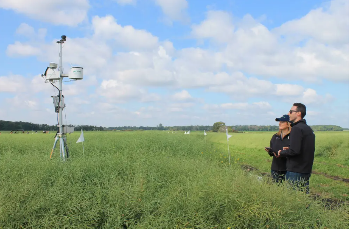EMILI’s managing director Jacqueline Keen and EMILI’s director of agri-food data stand near a weather station at Innovation Farms on Aug. 16. (Winnipeg Free Press)