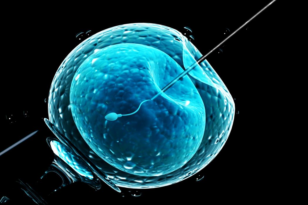 Extreme closeup of in vitro fertilization.