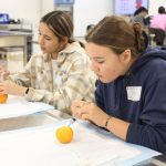 Two students each use a syringe to practice injections on oranges.
