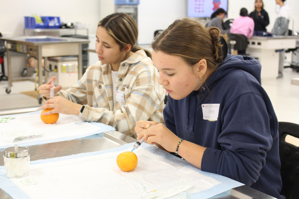 Two students each use a syringe to practice injections on oranges.