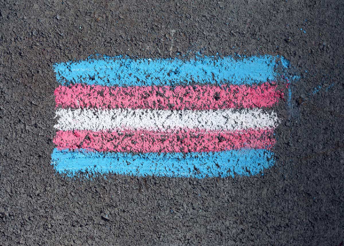 Transsexual flag