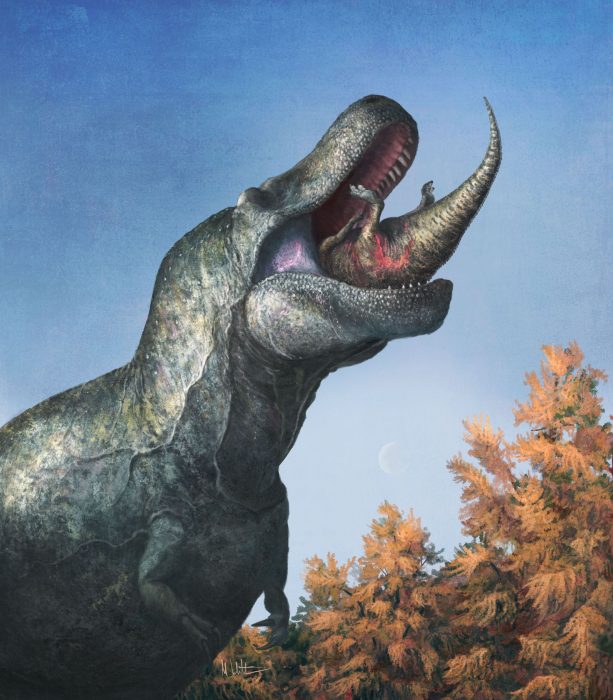 An illustration of a T-Rex with scaly lips protecting its teeth as it eats and swallows another dinosaur.