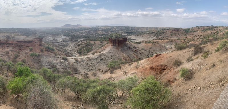 An image of the landscape found at Olduvai Gorge in Tanzania.