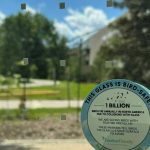 A "bird-safe" decal featured on a UM campus building, with green trees and grass out of focus in the background.