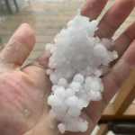 pea size hail stones in a pile in someone's hand