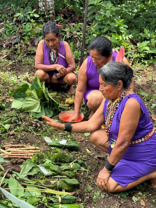 Women seated on the ground work with packages of leaves.