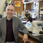 Peter Pelka, professor at the department of microbiology, sitting near a desk with a microscope on it at a lab.