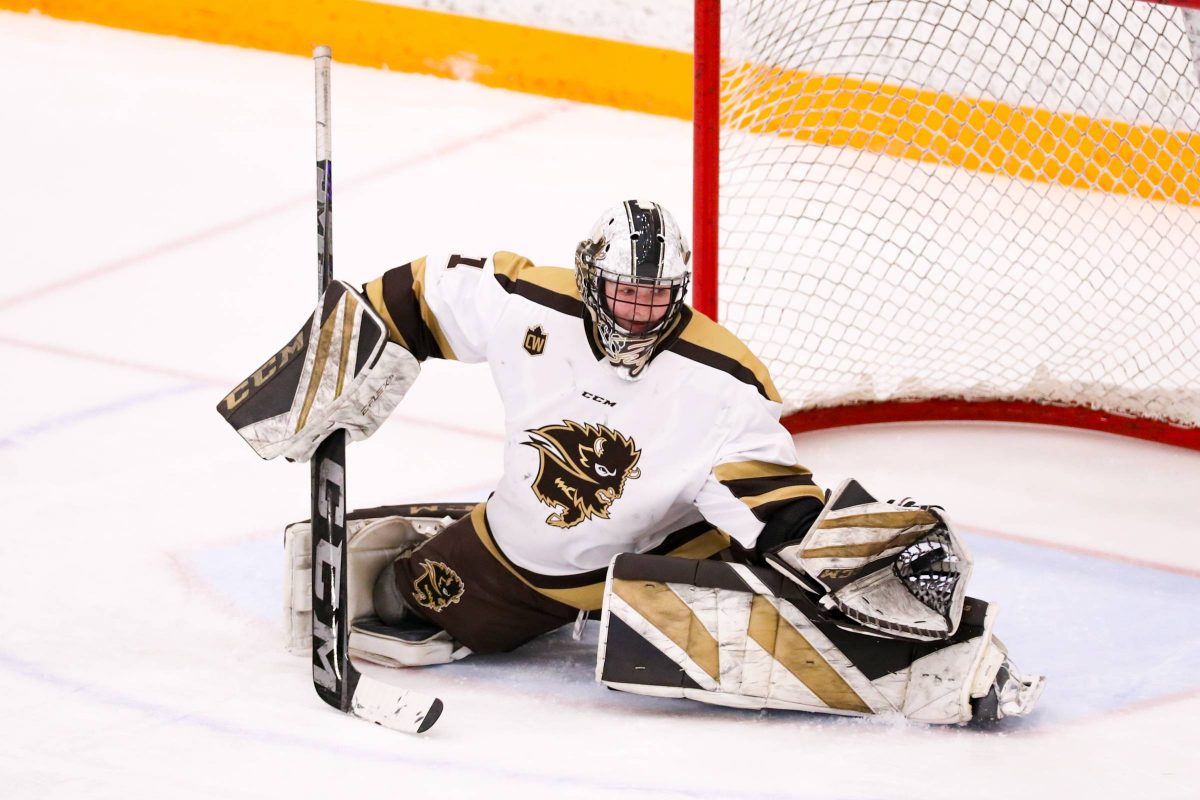 A Bisons hockey goalie makes a save