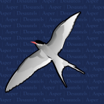 The cover of The Review of Enterprise and Trade Law is an Arctic Tern.