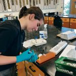 Summer intern works on samples