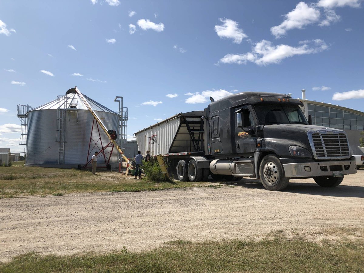 Grain truck loads a bin