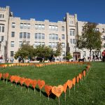 UM's 2024 Heart Garden in Buller greenspace