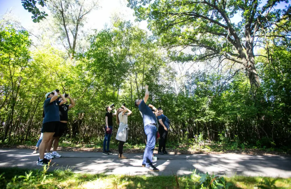 MIKAELA MACKENZIE / FREE PRESS The University of Manitoba Indigenous Birding Club goes on weekly walks to King’s Park to bird.