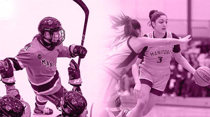 A split image covered in a pink over lay of the women's hockey team celebrating on the left and a bisons women's basketball player on the right