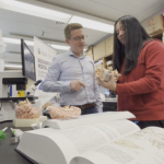 Lisa Wei (right) and Dr. Robert Beattie look at a model of the brain. Uploaded Oct. 12, 2024. (Alex Karpa/CTV News)