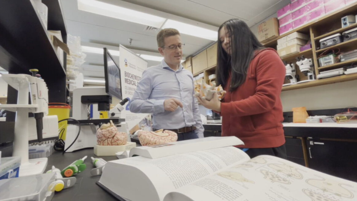 Lisa Wei (right) and Dr. Robert Beattie look at a model of the brain. Uploaded Oct. 12, 2024. (Alex Karpa/CTV News)