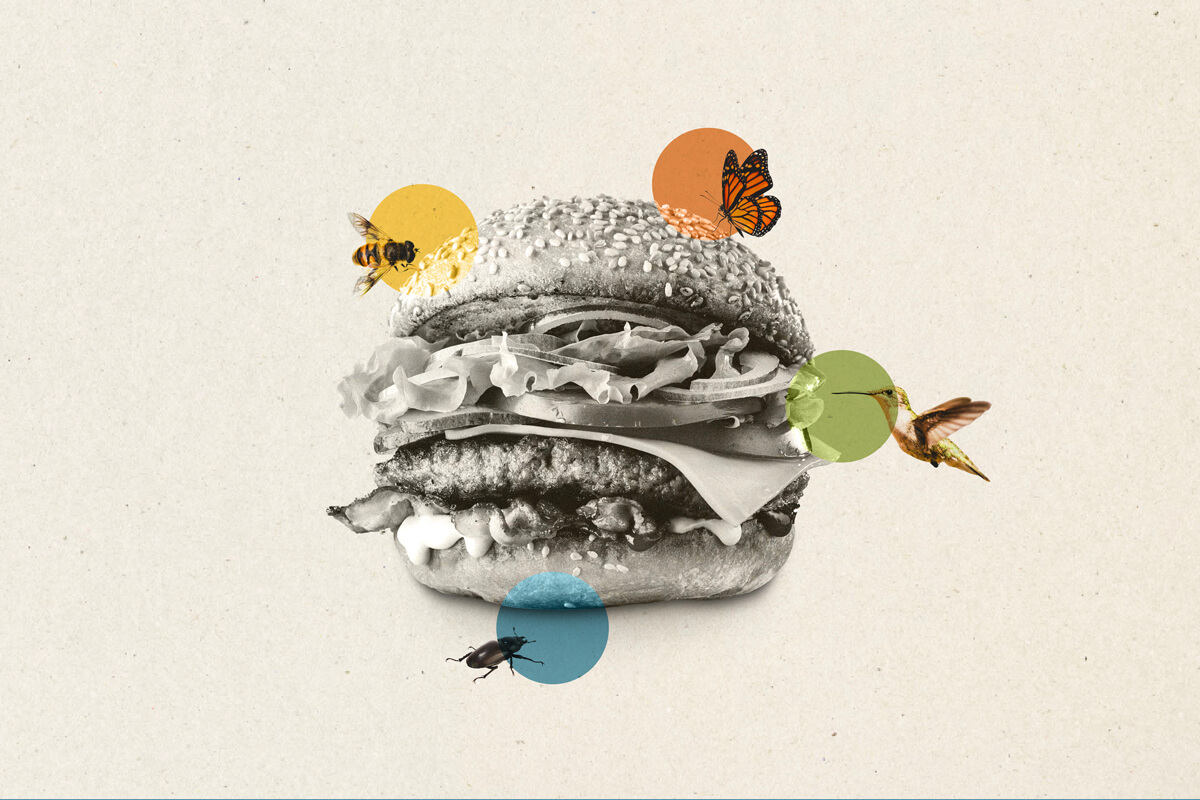 A black and white photograph of a burger, with illustrated animals around it, including a bee, butterfly, bird and beetle