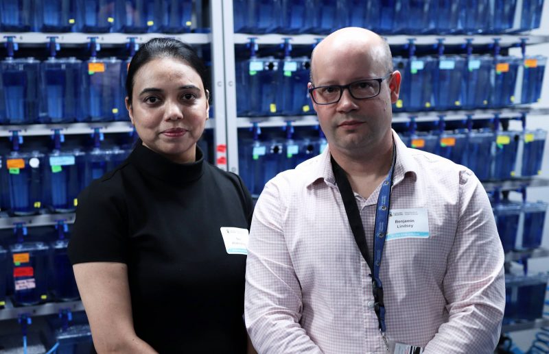 Doctors Devi Atukorallaya and Benjamin Lindsey in the Rady Biomedical Fish Facility at the Rady Faculty of Health Sciences.